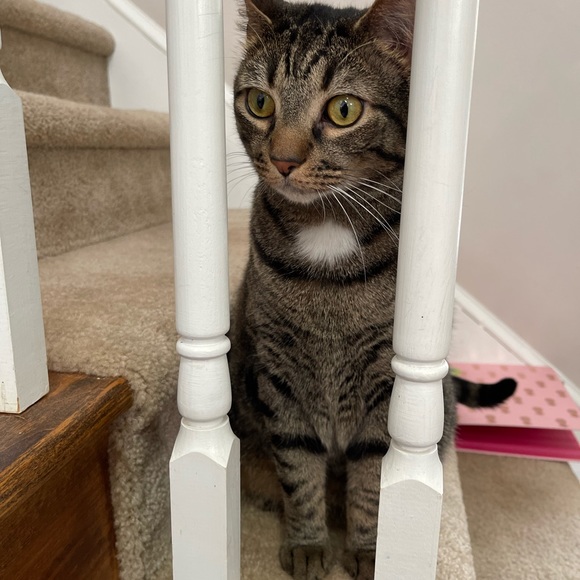 Meet your Posher, Jess - Picture 14 of 16